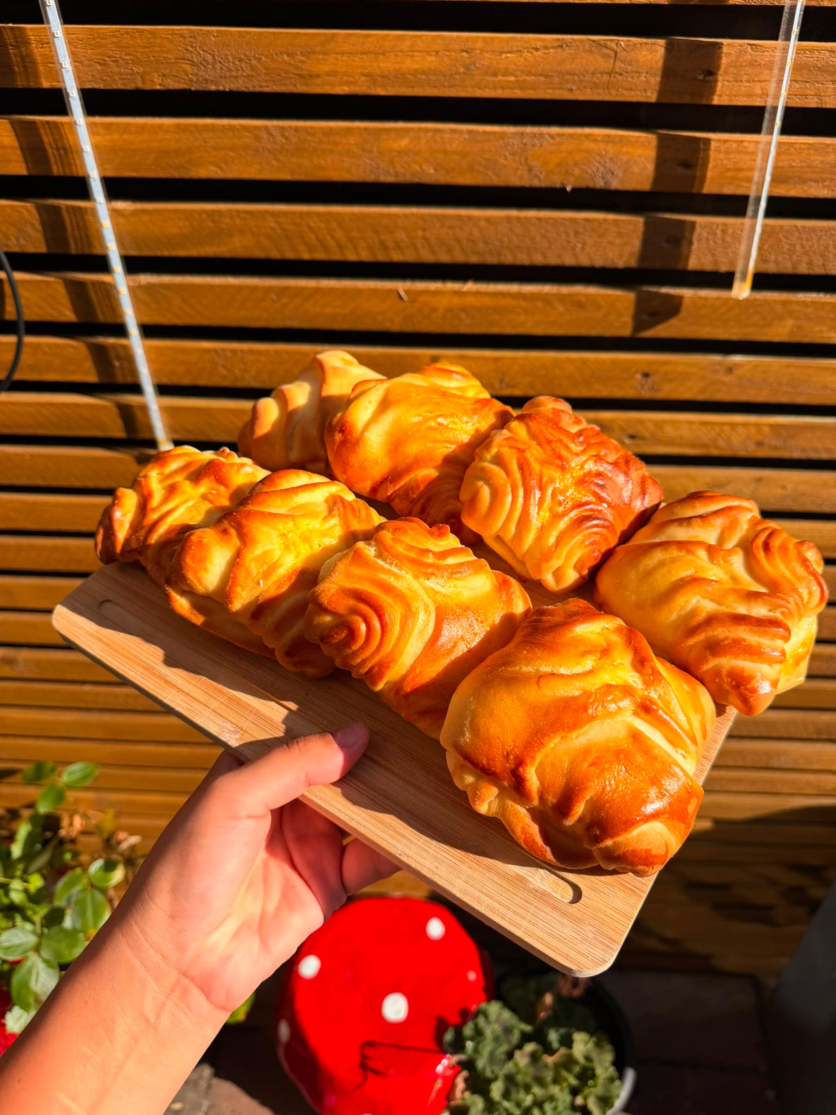 Cheese Mini Pies