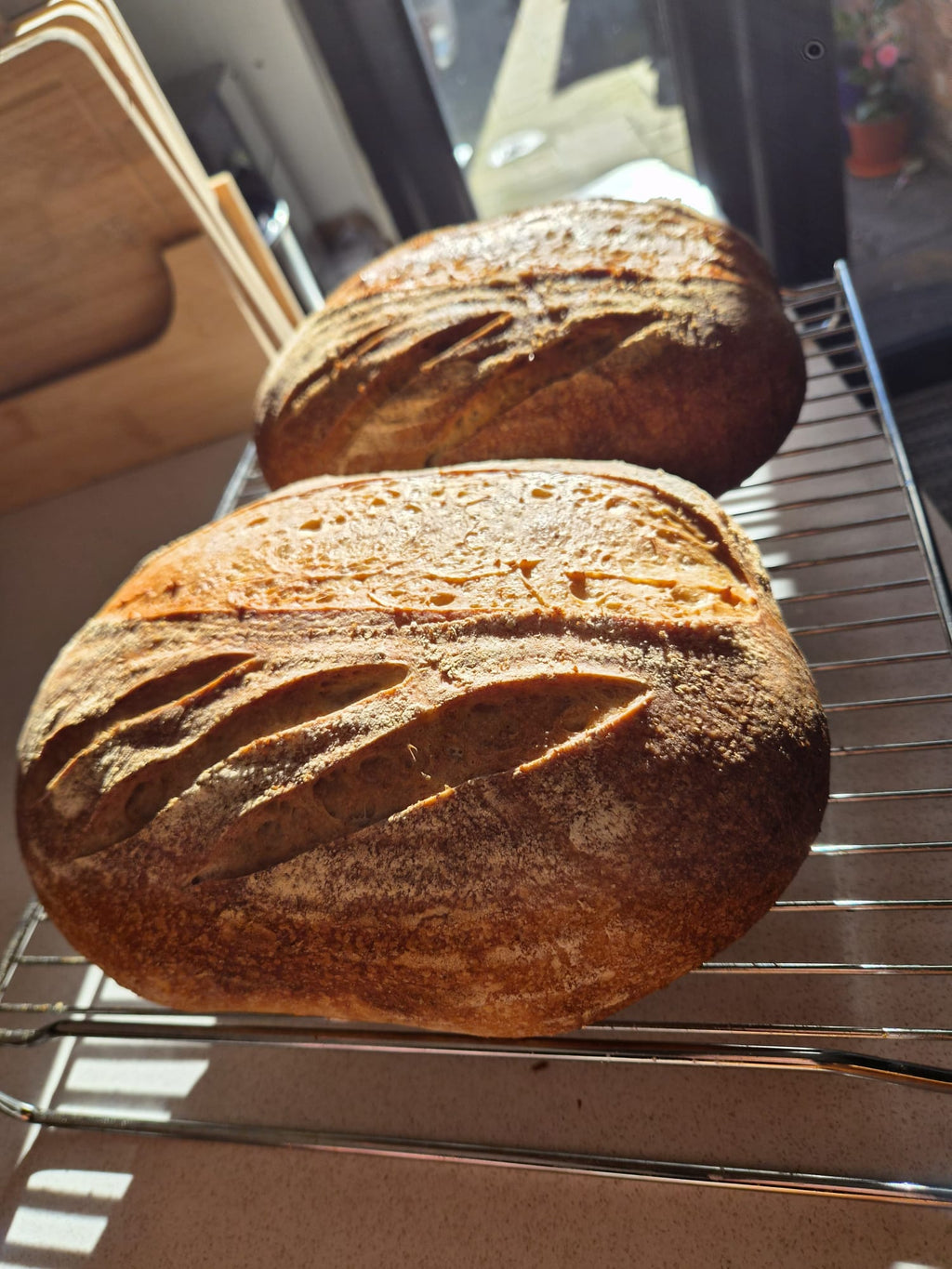 Sourdough Bread (Plain)